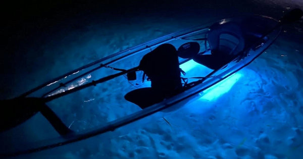 looking in water in glowing clear kayaks.jpeg