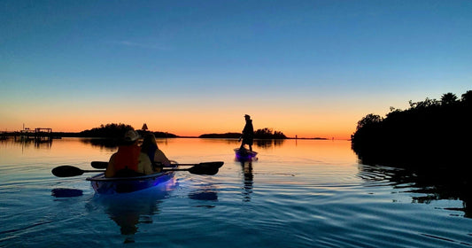 looking in water in glowing clear kayaks.jpeg