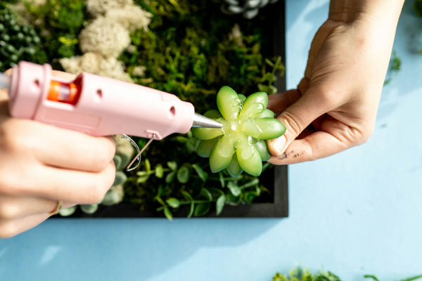 girls making wall terrariums