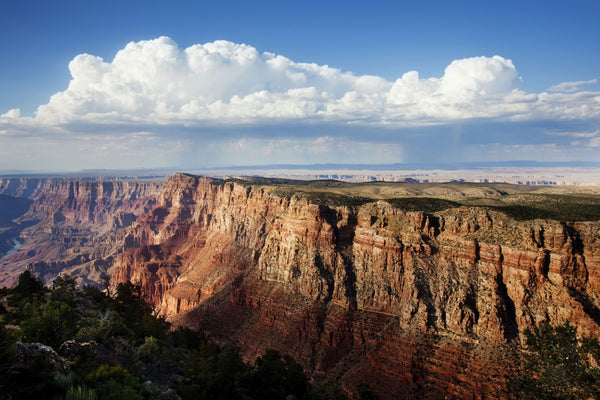 looking out at grand canyon