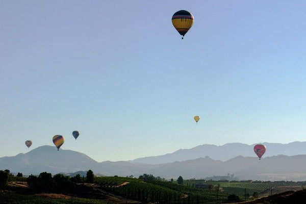 Semi Private Temecula Sunrise Balloon Ride with Champagne Toast