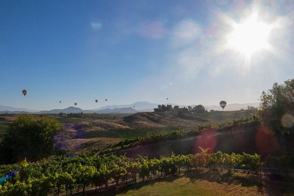 Semi Private Temecula Sunrise Balloon Ride with Champagne Toast