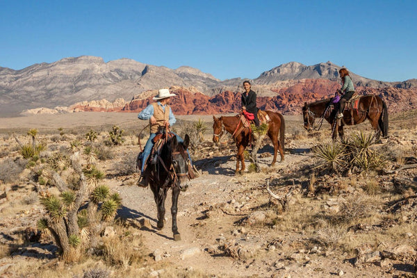 group of horseback riders