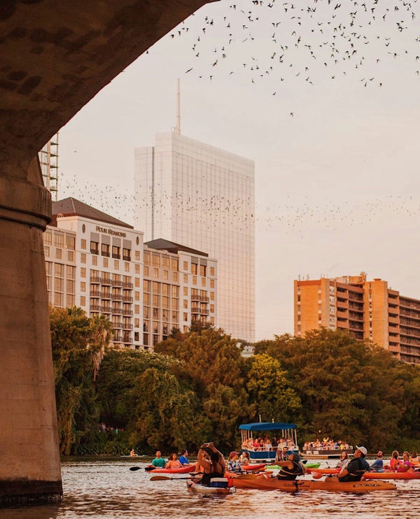 kayakers watching bats.jpeg