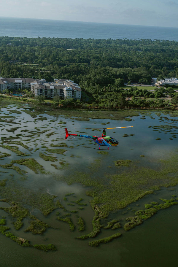 helicopter and marshes.webp