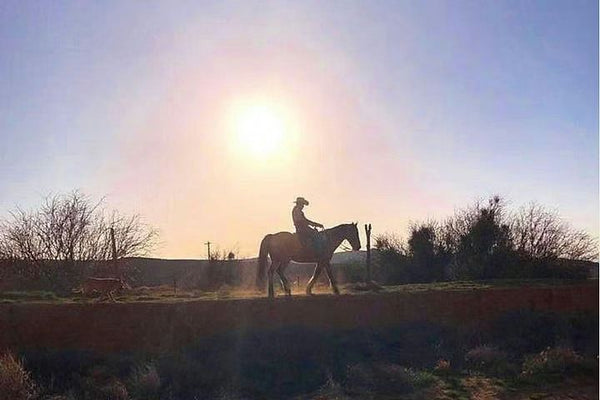 horseback riding at sunset