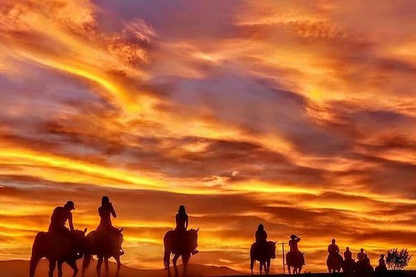 horseback riding at sunset