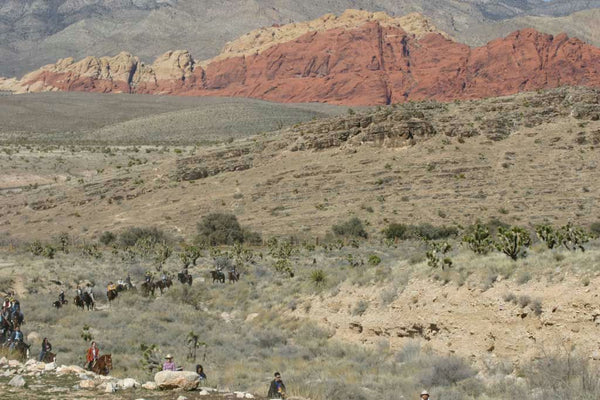 group of horseback riders