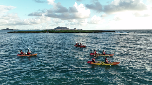 kayakers landing.png