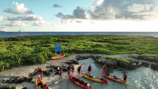 kayakers landing.png