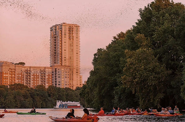 kayakers watching bats.jpeg