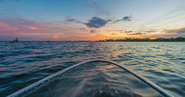 kayaking with manatee.jpeg