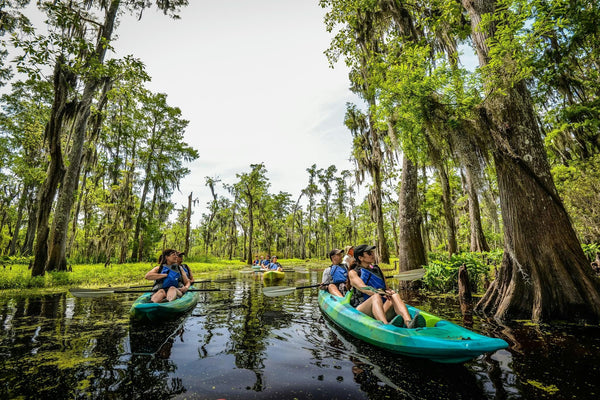 kayaking louisiana.jpeg