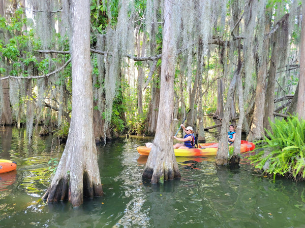 paddle and grub.jpg