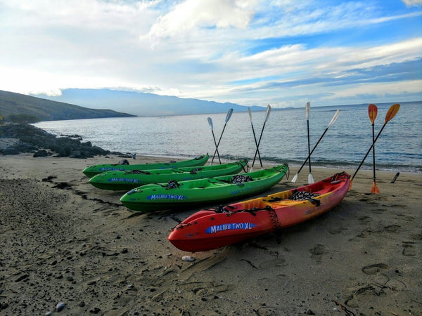 kayaks on beach