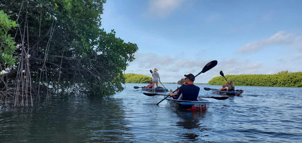 woman in clear kayak .jpeg