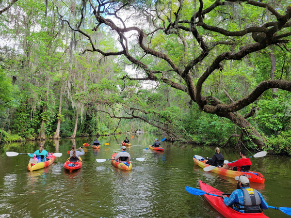 larger group of kayakers.jpeg