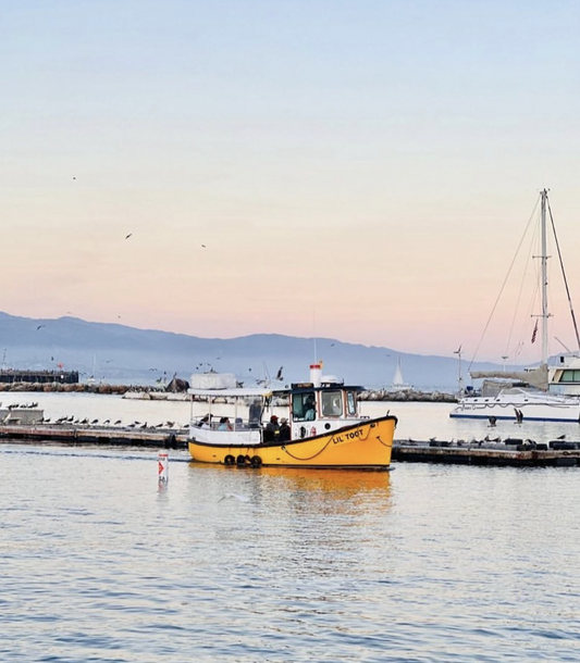 santa-barbara-boat-rides-lil-toot_2.jpg