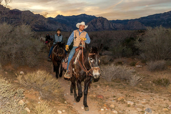 line of horseback riders at sunset