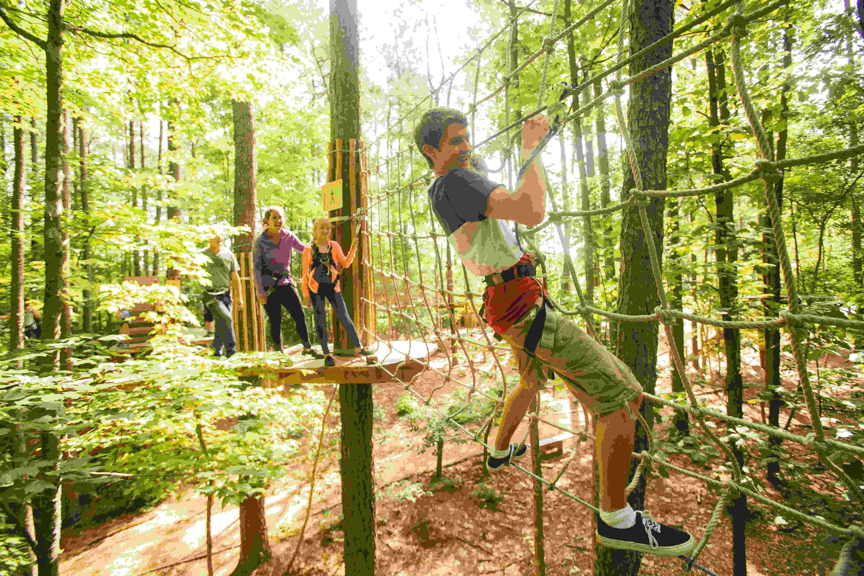 Plano Zipline and Treetop Adventure with Go Ape | Plano | Texas | Giftory