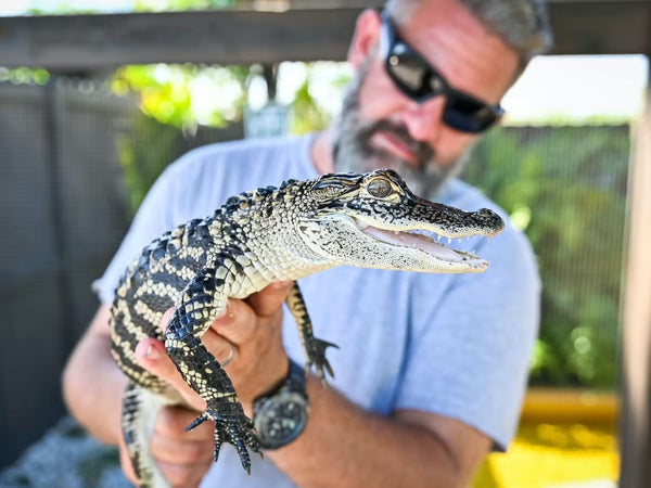 everglades boat.jpeg