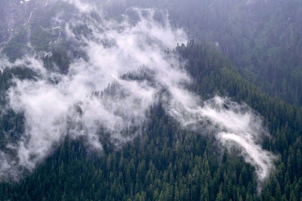 hikers looking up