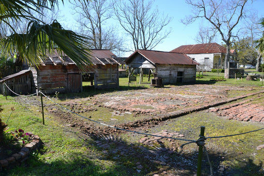 Oak Alley Plantation + 3 Hour New Orleans City & Cemetery Tour.png