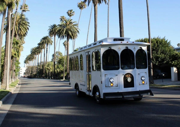 parlor car with palm trees.jpeg