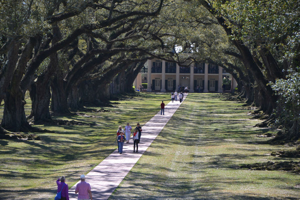 Oak Alley Plantation + 3 Hour New Orleans City & Cemetery Tour.png