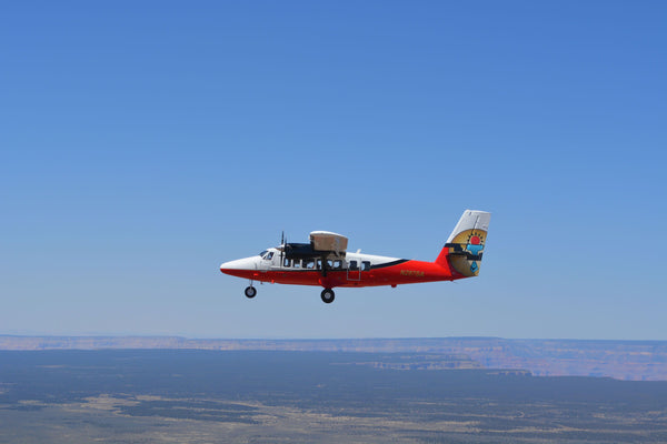 plane in sky