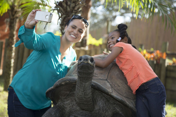 posing with tortoise