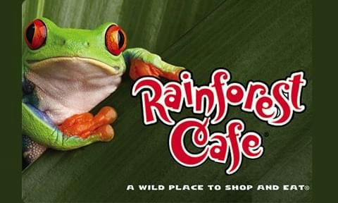 rainforest cafe