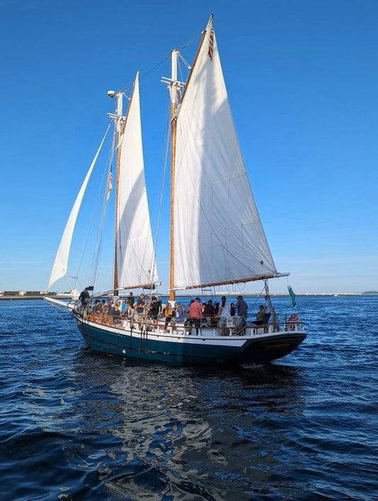 sailboat on water boston.jpeg