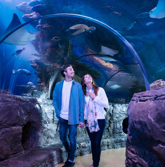 sealife aquariulm walk.jpg