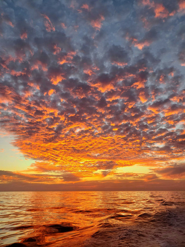 boat at sunset.jpeg