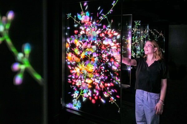 woman in timeless butterflies exhibit